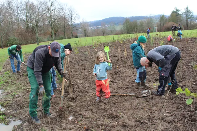 Pflanzung Tiny Forest 2, 29.11.25 Breitenauer See  | Foto: Warnecke