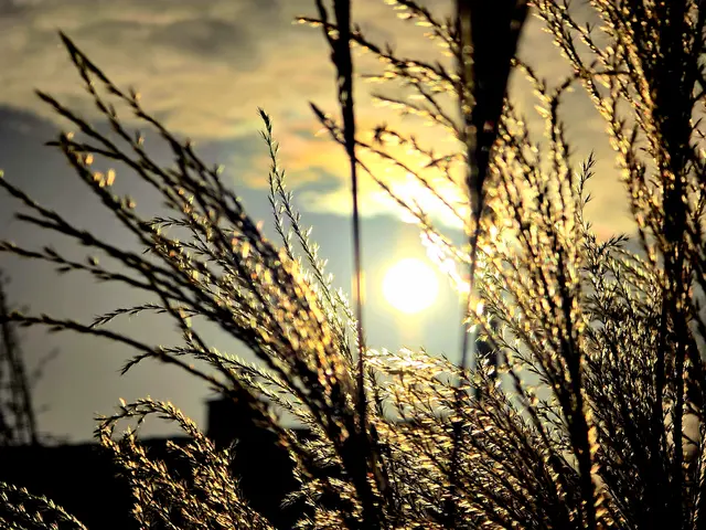 Foto: Heidrun Rosenberger