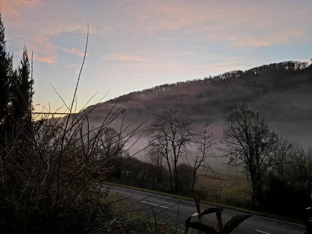 mystische Stimmung | Foto: Ralf Röser