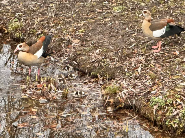 Foto: Heide Böllinger aus Bad Friedrichshall