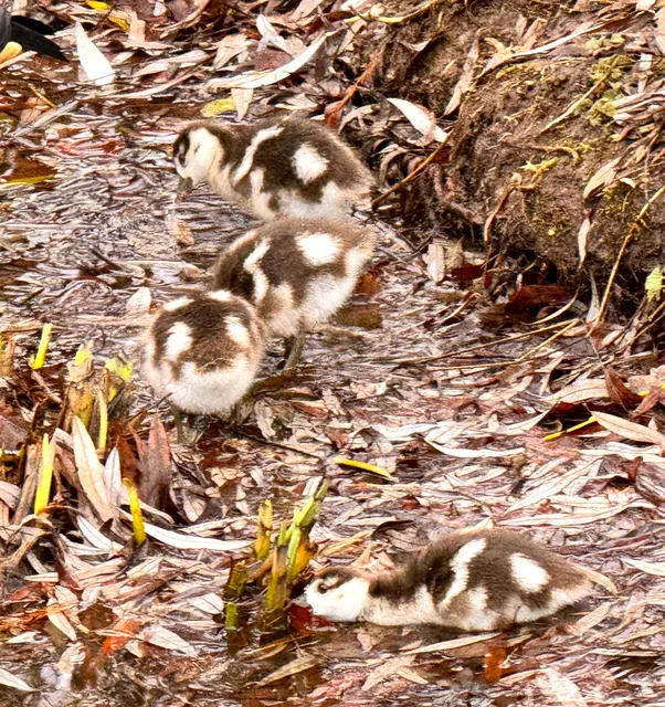 Foto: Heide Böllinger aus Bad Friedrichshall