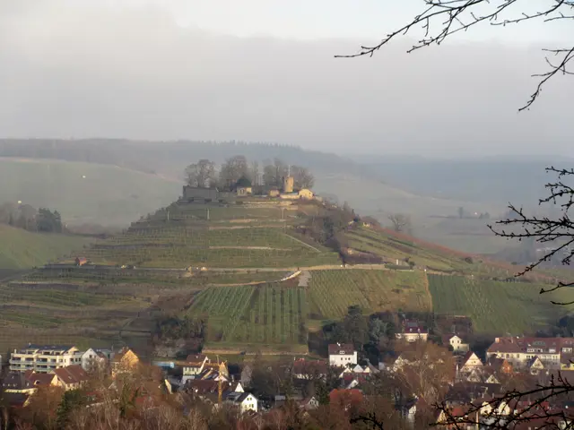 Erste Aussicht auf die Burg | Foto: WandernGabyErich