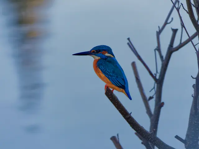 Foto: Eigenes Bild TB