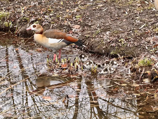Foto: Heide Böllinger aus Bad Friedrichshall