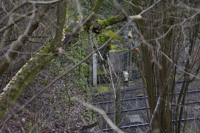 Tunneleingang. | Foto: Michael Harmsen