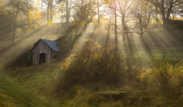 Das Gewinnerbild: ein zauberhafter Moment aus Sonne und Nebel am Morgen. | Foto: Barbara Ziech