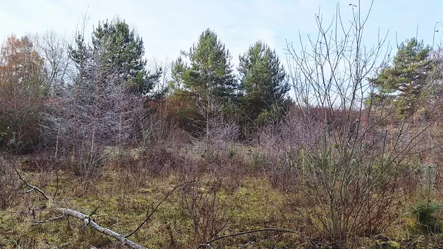 Foto: Monika Breusch