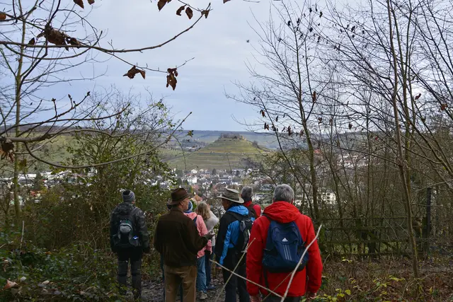 Alle wollen einen Blick erhaschen. | Foto: Michael Harmsen