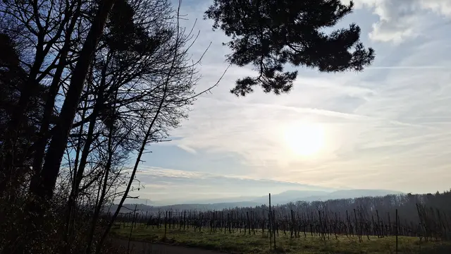 Die Sonne im Anmarsch | Foto: Monika Breusch