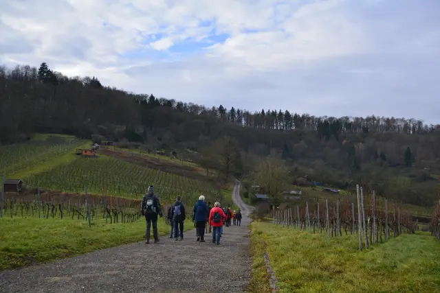 Im Gewann Lindach. | Foto: Michael Harmsen