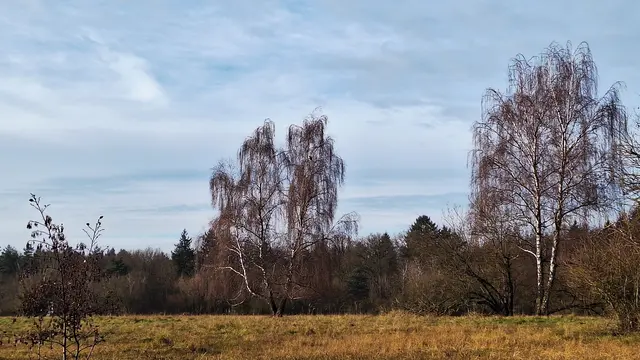 Das Wetter macht sich und zauberte etwas Sonne aufs Gras | Foto: Monika Breusch