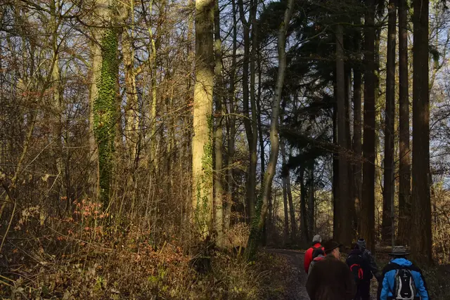 Licht und Schatten. | Foto: Michael Harmsen