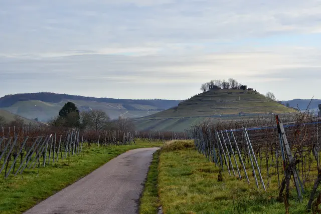 Der Blick zurück lohnt. | Foto: Michael Harmsen