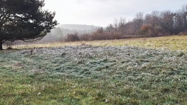 Foto: Monika Breusch