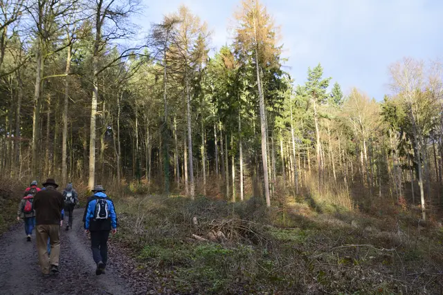 Leider verschwand die Sonne im Laufe der Wanderung. | Foto: Michael Harmsen