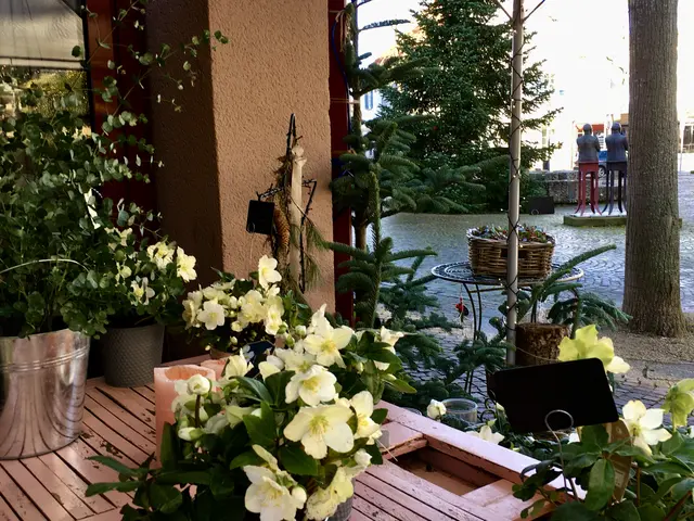 Blumengeschäft LISBETH im Neuen Rathaus | Foto: ED