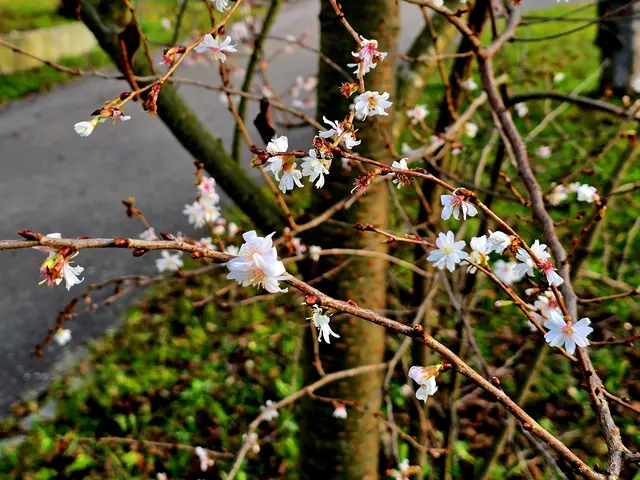 Foto: Heidrun Rosenberger