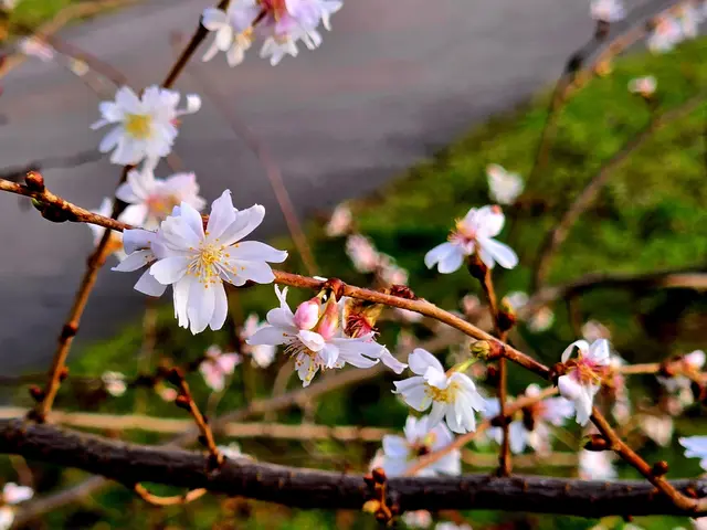 Foto: Heidrun Rosenberger