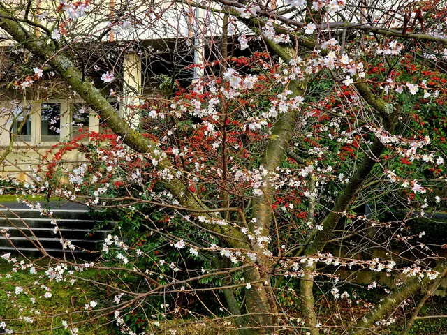 Foto: Heidrun Rosenberger