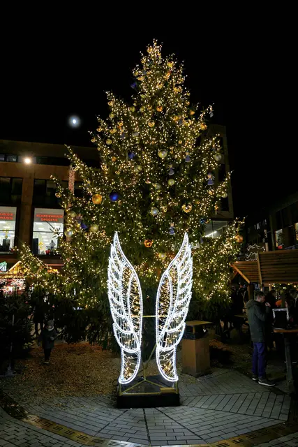 Christbaum am Kiliansplatz | Foto: Ulrich Seidel