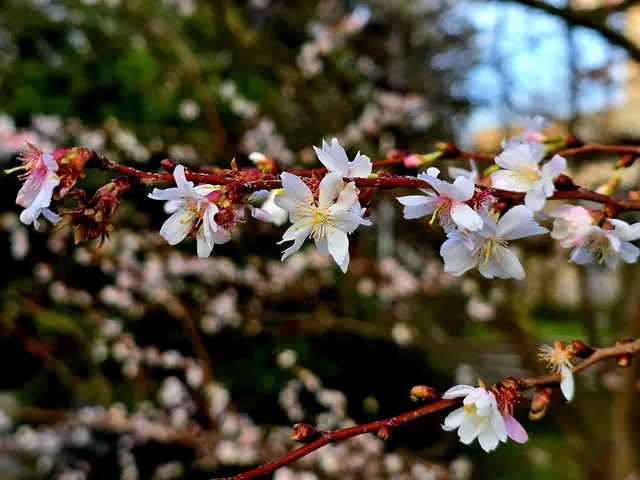 Foto: Heidrun Rosenberger