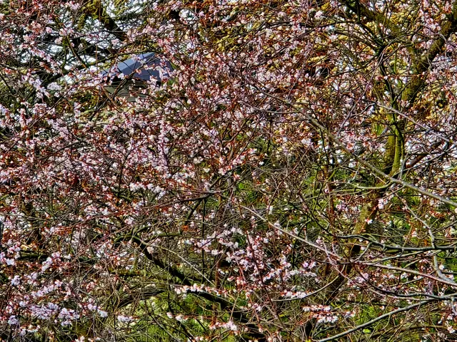 Foto: Heidrun Rosenberger