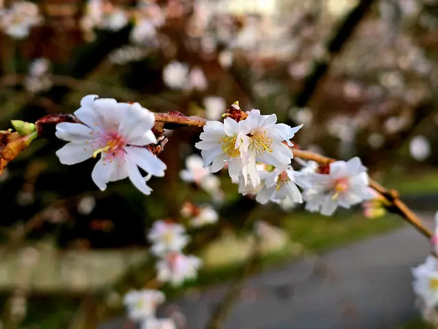 Foto: Heidrun Rosenberger