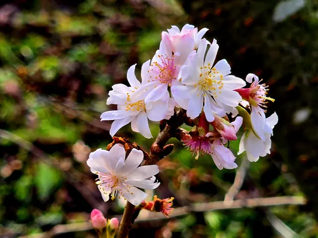 Foto: Heidrun Rosenberger