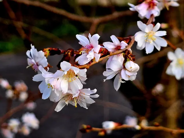 Foto: Heidrun Rosenberger