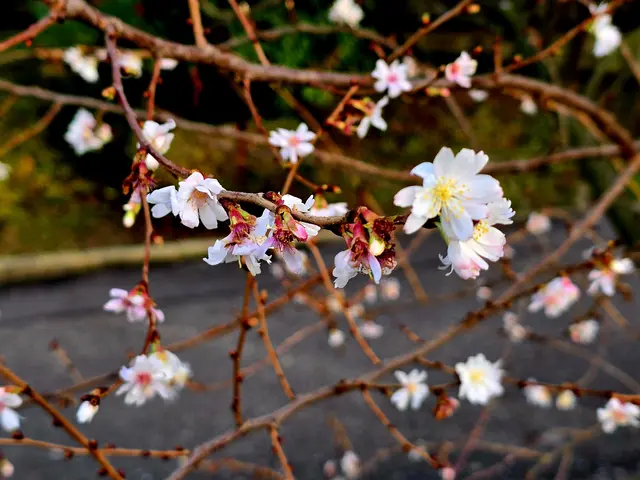 Foto: Heidrun Rosenberger