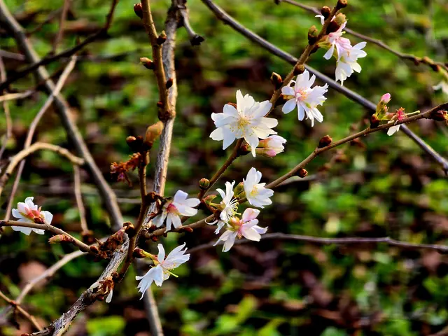 Foto: Heidrun Rosenberger