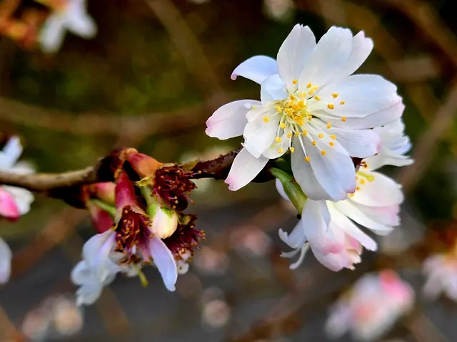 Foto: Heidrun Rosenberger