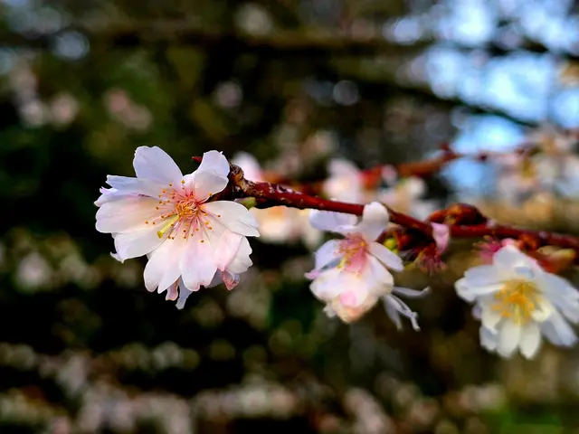 Foto: Heidrun Rosenberger