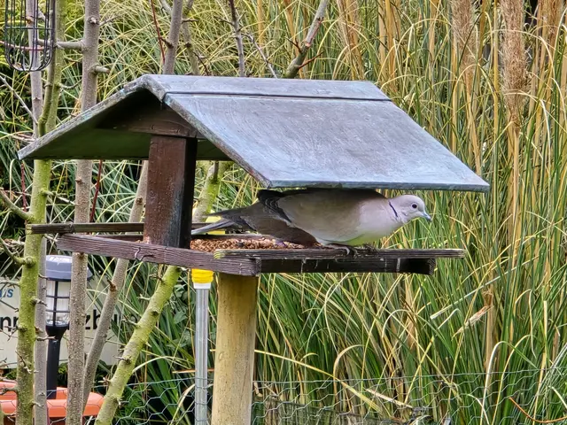 Foto: Heidrun Rosenberger