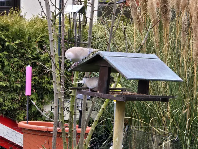 Foto: Heidrun Rosenberger