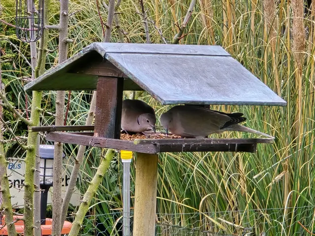 Foto: Heidrun Rosenberger
