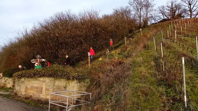 Stäffele na, der Weinlyrikweg | Foto: WandernGabyErich