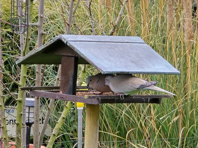 Foto: Heidrun Rosenberger