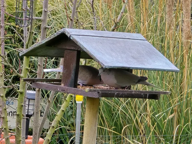 Foto: Heidrun Rosenberger