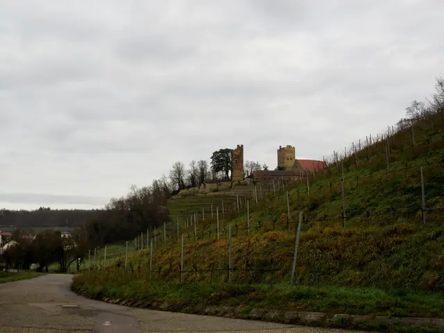 Erster Blick auf Burg Neipperg | Foto: WandernGabyErich