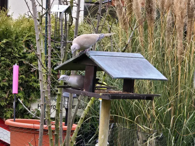 Foto: Heidrun Rosenberger