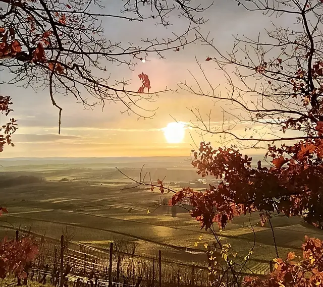 Schon der Treffpunkt und die Aussicht vom Parkplatz waren ein Highlight | Foto: Aurelia Kling