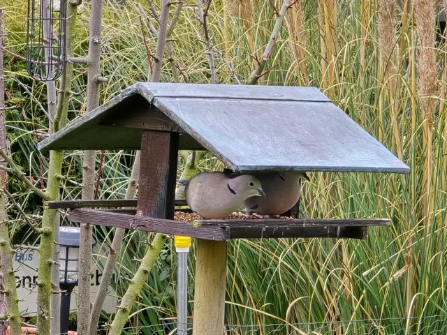 Foto: Heidrun Rosenberger