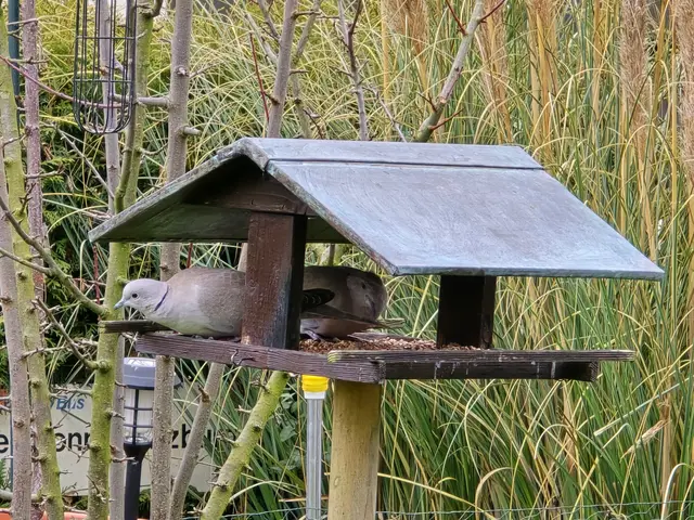 Foto: Heidrun Rosenberger