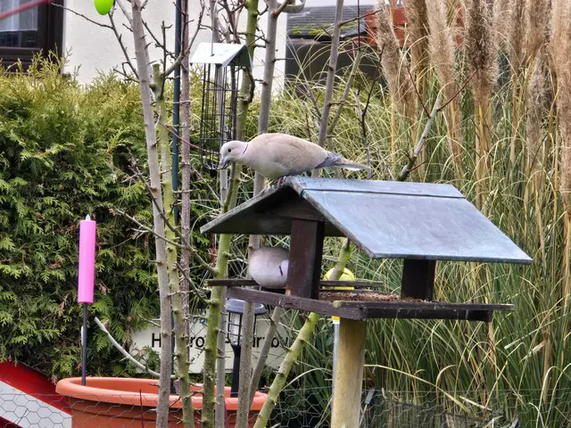 Foto: Heidrun Rosenberger