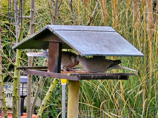 Foto: Heidrun Rosenberger