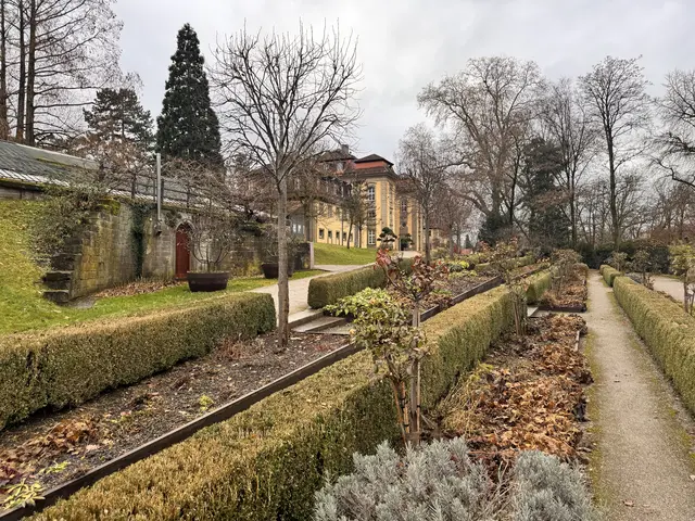 Foto: Heide Böllinger aus Bad Friedrichshall