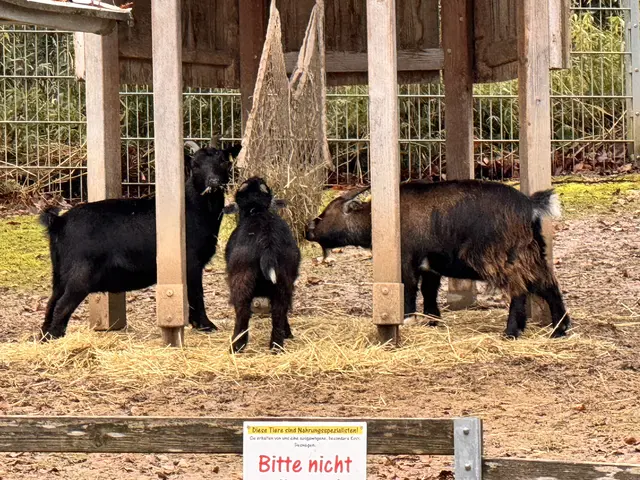 Foto: Heide Böllinger aus Bad Friedrichshall