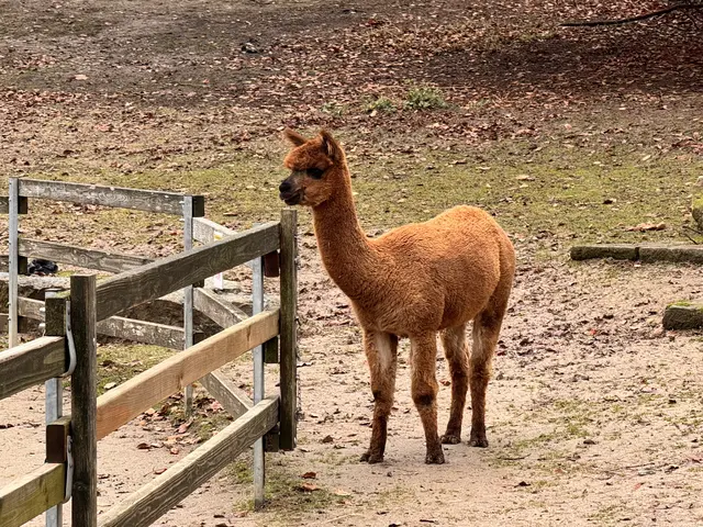 Foto: Heide Böllinger aus Bad Friedrichshall