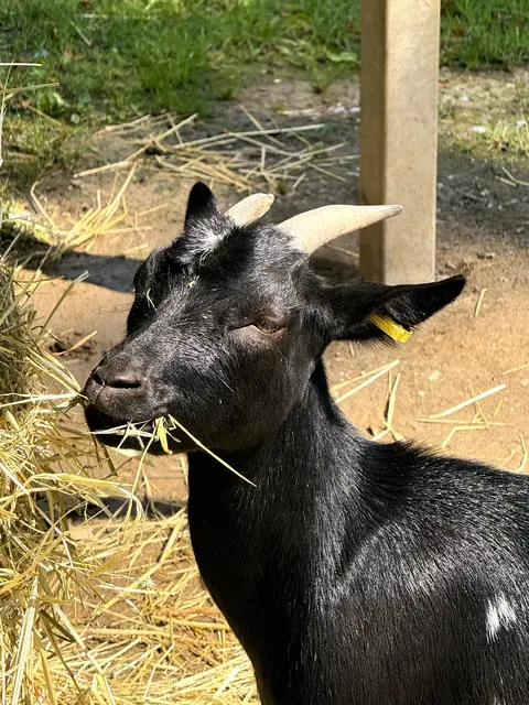 Foto: Heide Böllinger aus Bad Friedrichshall